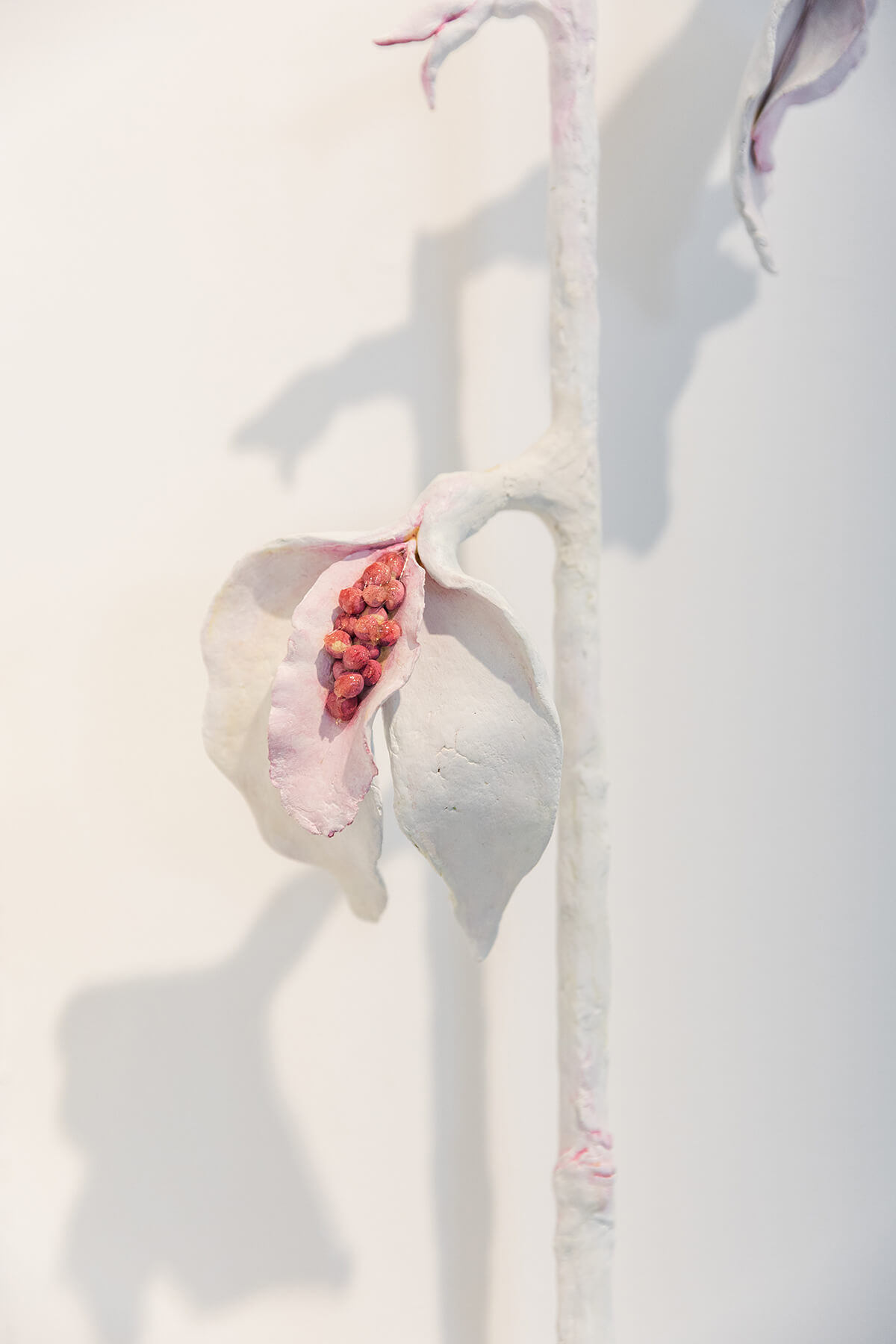 Blowing raspberries - Jelena Pantelić - Visual Artist