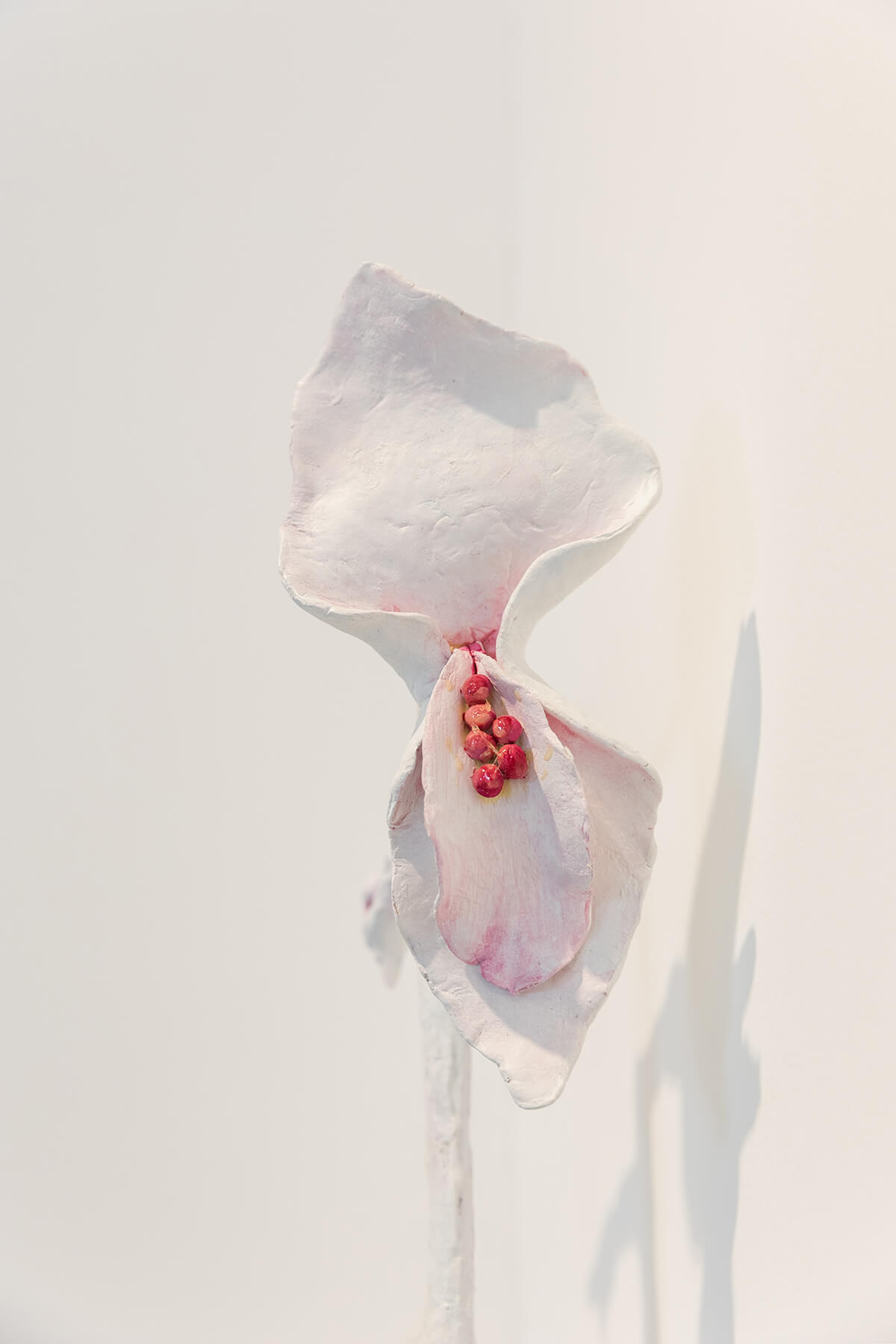 Blowing raspberries - Jelena Pantelić - Visual Artist